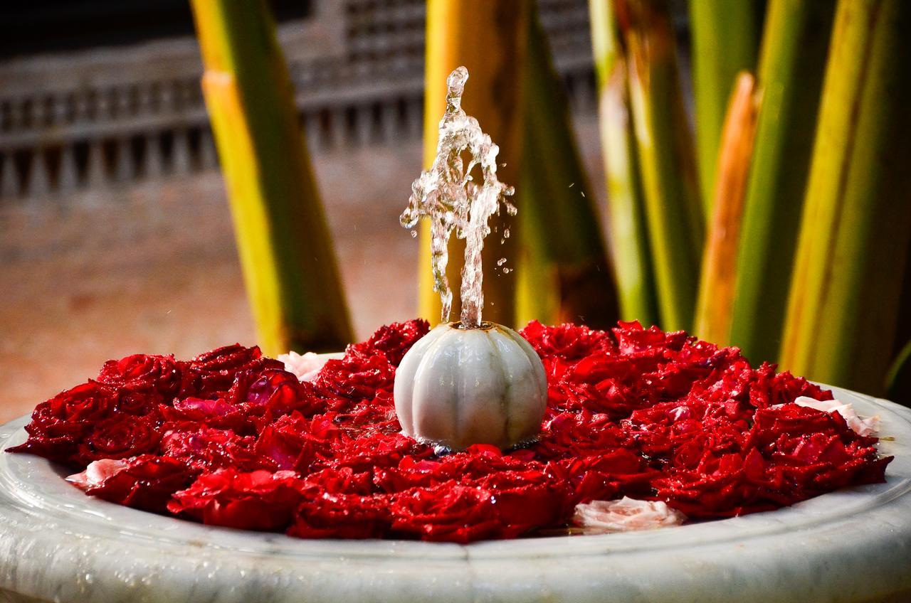 Riad ILayka Marrakesh Bagian luar foto